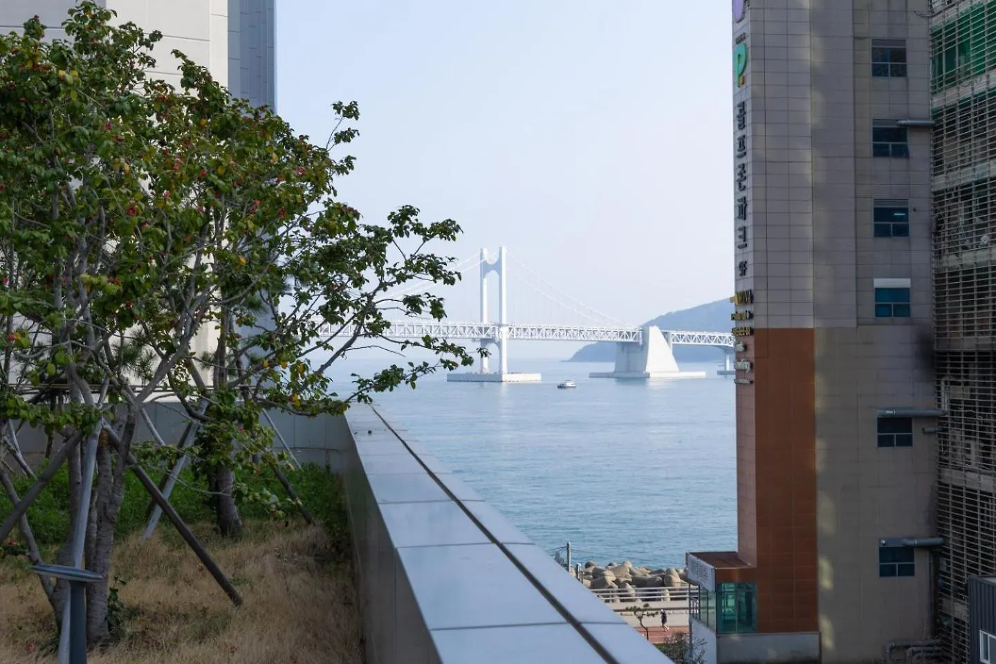 The Flow Busan Apartment